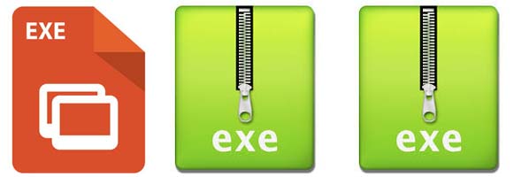 What are Executable Files ?